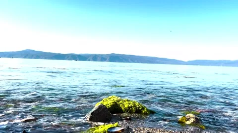 Close up view of a beautiful pebbly and mossy beach from a good angle Stock Footage 310174668