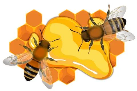 Close up view of the bee on honey drop Illustrazione stock