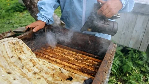 Close-up view of beekeeper using a smoker to calm down the bees. Beekeeper 's Stock-Footage 130192884