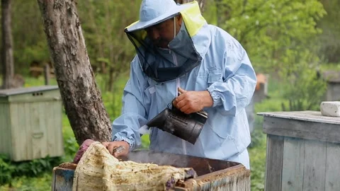 Close-up view of beekeeper using a smoker to calm down the bees. Beekeeper 's Stock Footage 131763918