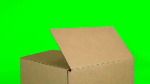 Close-up view of Bengal cat sitting inside a cardboard box on green screen Stock Footage 249907473