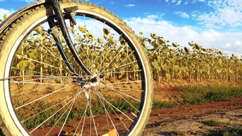Close-up view of a bicycle wheel in motion. Stock Footage 203939657
