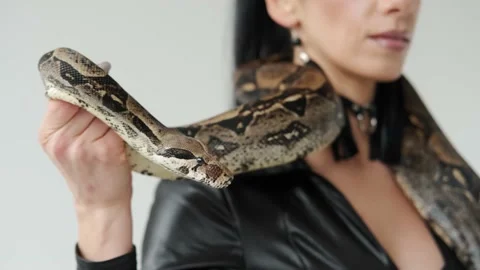 Close up view of Big snake on a woman's neck. Stock Footage 180712600