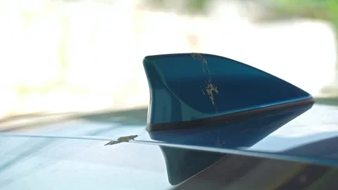 Close-up view of the bird poop dropping on the blue car antenna. 動画素材 271139297