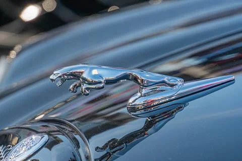 Close-up view of a black and silver Jaguar car, emphasizing the iconic leapin Stock Photos