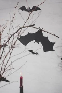 Close-up view of black decorative bats hanging on dry branches 库存照片