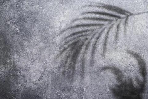 Close-up view of a black wall Stock Photos
