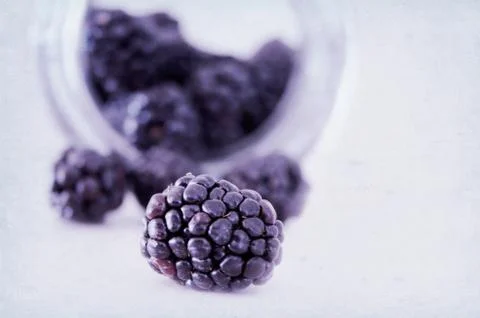 Close-up view of blackberry Stock Photos