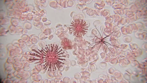 Close up view of blood cells under the microscope with layers of data Stock Footage 301894788
