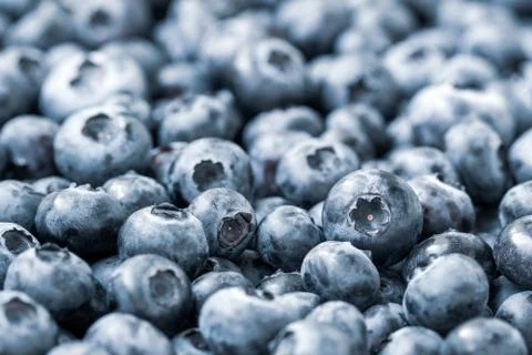 Close-up view of blue berries Stock Photos