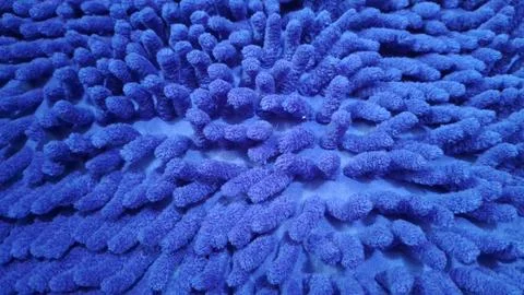 Close up view of a blue fuzzy microfiber bath mat surface Stock Photos