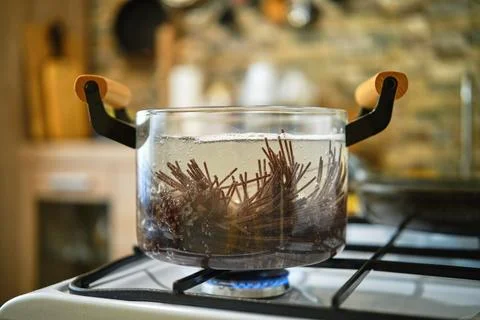 Close-up view of boiling black rice noodles in transparent glass saucepan Stock-Fotos