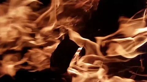 Close-up view on bonfire flame Stock-Footage 82588516
