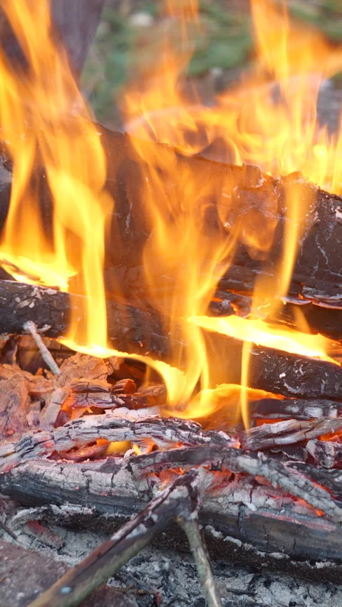Close-up view of bonfire flames of camping fire Stock Footage 335439785