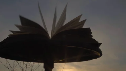 Close Up view. Book pages turning In the wind. Open book on aold stool. Stock Footage 129316991