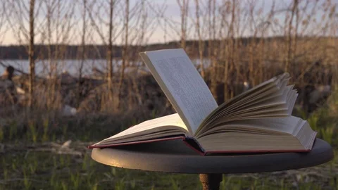 Close Up view. Book pages turning In the wind. Open book on aold stool. Stock Footage 129317001