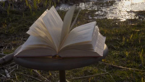 Close Up view. Book pages turning In the wind. Open book on aold stool. Stock Footage 129317245