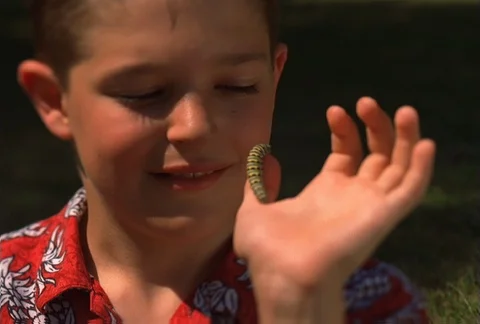 Close view of boy playing with a caterpillar that is crawling on his hand Stock Footage 86884504