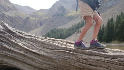 Close up view of boy walking on tree log Vídeos de archivo 252846269