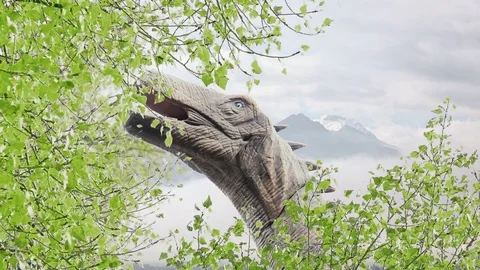 Close-up View of Brachiosaurus Eating Leaves from the Trees. 4K Ultra HD Stock Footage 81880848