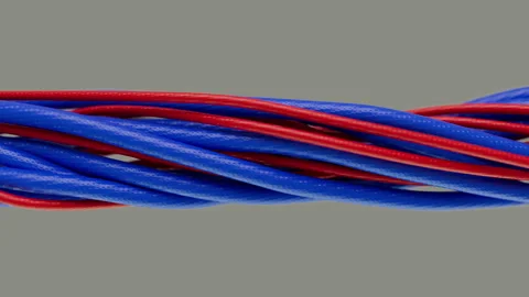 Close-Up View of Braided Data Lines Entangled Together Stock-Footage 311841137