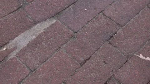Close up view of brick ground pan 動画素材 121075812