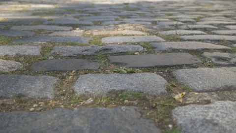 A close up view of the brick pavement with the patches of moss. Stock Footage 287503828