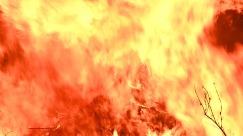 Close up view of bright fire burning against dark background Stock Footage 189813792