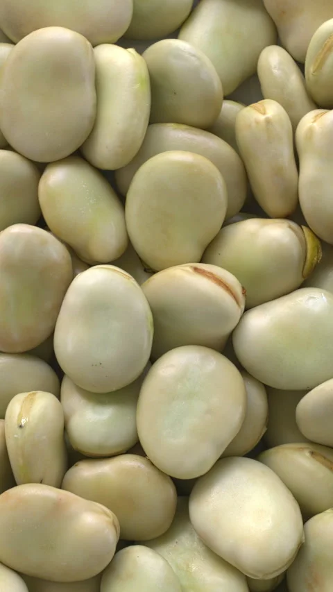 Close-up view of broad beans with a second skin. Vertical video. Stock Footage 313836438