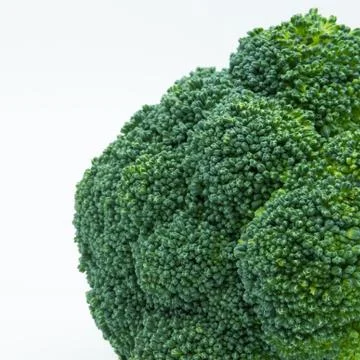 Close-up view of the broccoli isolated on white background Stock Photos