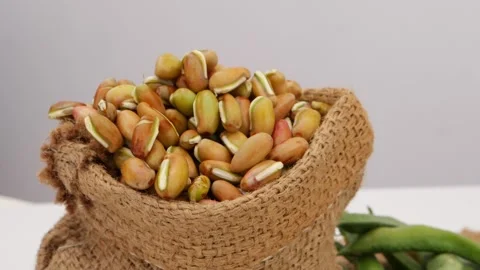 Close up view of brown bag filled with seeds of beans Vídeo Stock 159638079