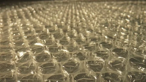 Close up View of Bubble Wrap Protective Packaging Material Stock Footage 309294582