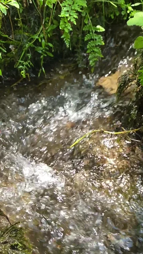 Up-close view of bubbling stream with crystal-clear water 🌊💦 Stock Footage 310912353