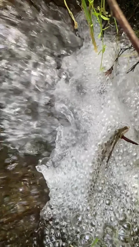 Up-close view of bubbling stream with crystal-clear water 🌊💦 Stock Footage 310912355