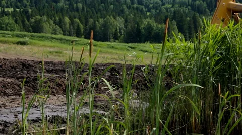 Close up view of bulldozer tractor works at moving soil in marshland Stock Footage 48508913