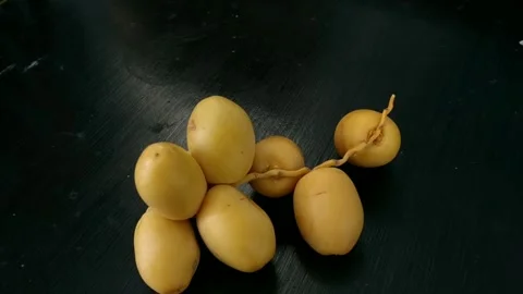 Close-up view of a bunch of fresh, young yellow dates (khalal stage) Stock Footage 345462727