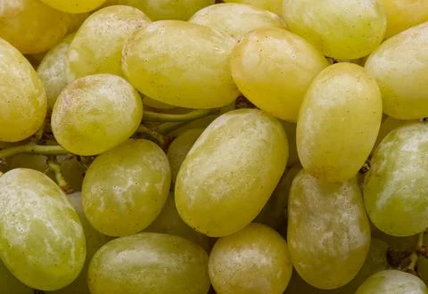 Close-up view of a bunch of white grapes Stock Photos
