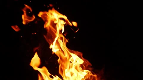 Close view of burning bushes with black background Stock-Footage 150715370