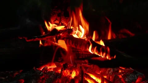 Close-up View of Burning Campfire with Glowing Coals and Flames Video stock 341878785