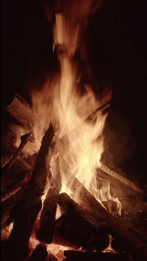 Close-up view of burning campfire at night. Vertical video. Stock-Footage 309046552