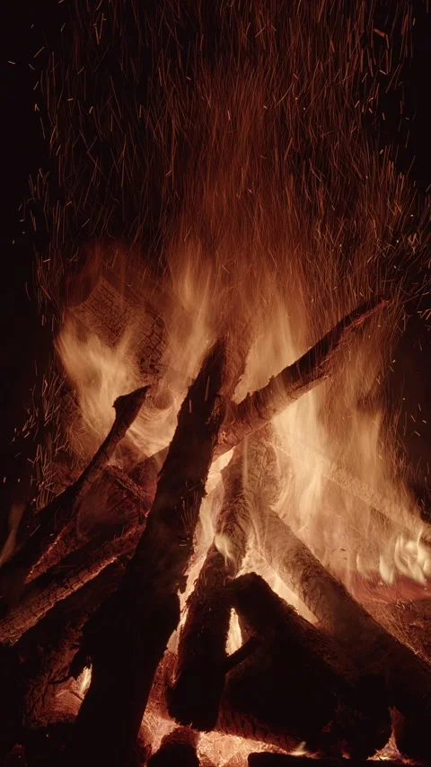 Close-up view of burning campfire at night. Vertical video. Stock Footage 310795718