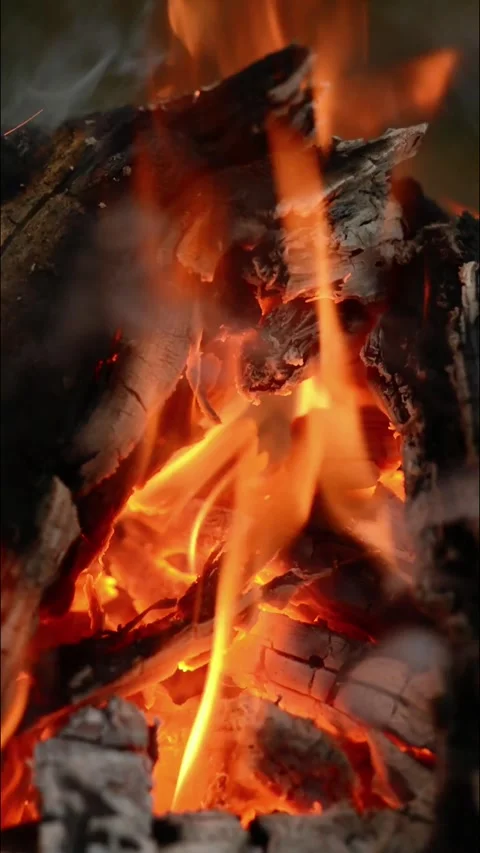Close-up View of Burning Fireplace Logs and Flame 動画素材 344746526