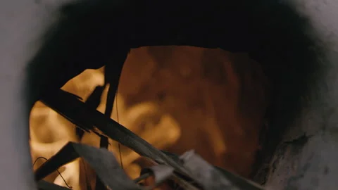 Close up view of burning leaves and branches capturing nature's power Stock Footage 321433984