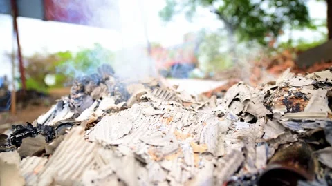 Close Up View of Burnt Ashes in Rural Scene Stock Footage 310718572
