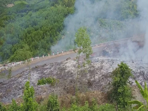 Close View Burnt Ground Plot with Ash and Smoke by Road Stockbeeldmateriaal 80075715