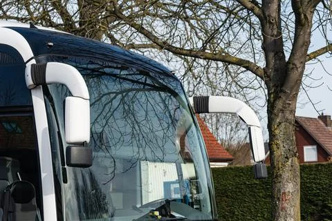 Close view of bus side mirrors next to tree in urban area Stock Photos
