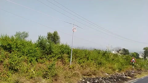 Close up view of bushes . Video stock 144912201