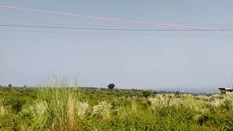 Close up view of bushes . Stock Footage 144912273