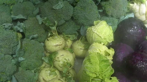 Close up view of cabbages. Stock Footage 91300126
