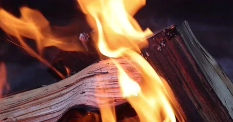 Close-up view of a campfire with burning firewood. Stock Footage 157421410